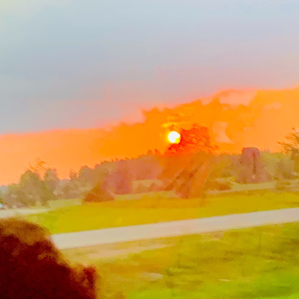 Meet your Posher, Aleena